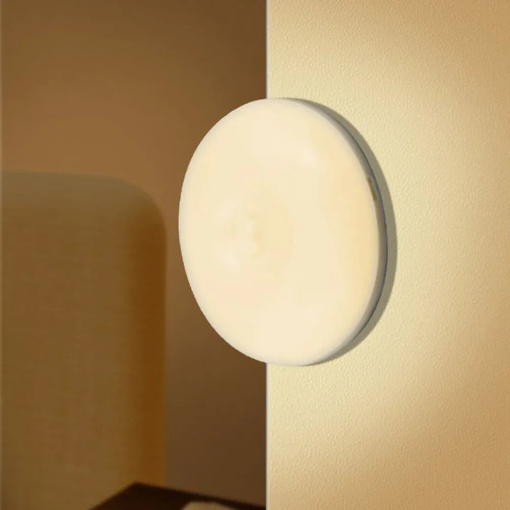 Motion Sensor LED Light